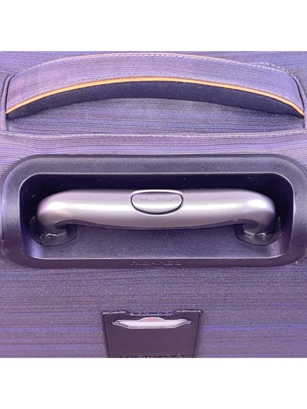 Ricardo Men’s Gray & Blue Blend Nylon 4-Wheel Spinner Expandable Travel Luggage